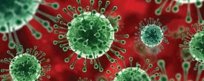Австралийские ученые заявили, что коронавирус «сильно адаптировался к человеку» - runews24.ru