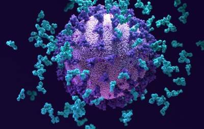 Ученые нашли эффективное антитело против COVID-19 - real-vin.com - Украина