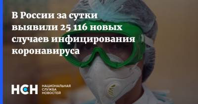 В России за сутки выявили 25 116 новых случаев инфицирования коронавируса - nsn.fm - Россия