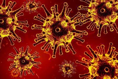 За сутки в 2 городах и 17 районах Пензенской области выявили коронавирус - mk.ru - Пенза - Пензенская обл.