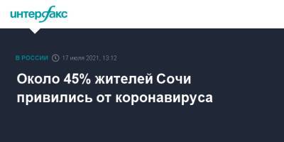 Около 45% жителей Сочи привились от коронавируса - interfax.ru - Москва - Сочи - Алексей Копайгородский