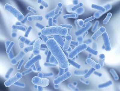 Ученые раскрыли одну из загадок супербактерий и мира - cursorinfo.co.il