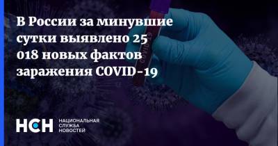 В России за минувшие сутки выявлено 25 018 новых фактов заражения COVID-19 - nsn.fm - Россия