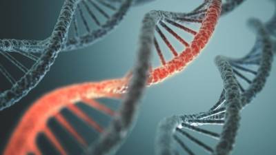 Ученые обнаружили в почве ДНК неизвестного происхождения - 5-tv.ru