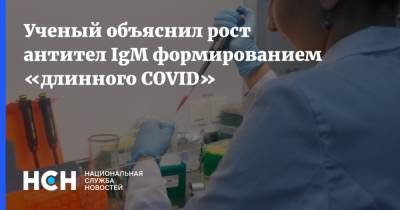 Дмитрий Кулиш - Ученый объяснил рост антител IgM формированием «длинного COVID» - nsn.fm - Россия