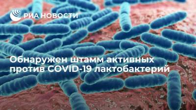 В Нижегородском институте эпидемиологии выявили активный против COVID-19 штамм лактобацилл - ria.ru - Россия - Москва - Нижний Новгород