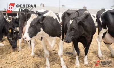 В Югре отмечена вспышка опасного заболевания скота - fedpress.ru - округ Югра - район Нижневартовский