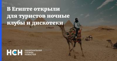Майя Ломидзе - В Египте открыли для туристов ночные клубы и дискотеки - nsn.fm - Россия - Египет