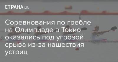 Соревнования по гребле на Олимпиаде в Токио оказались под угрозой срыва из-за нашествия устриц - strana.ua - Украина - Токио