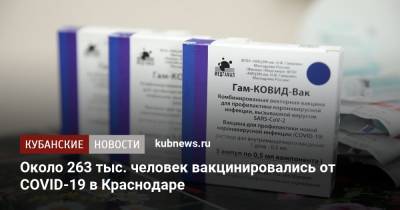 Евгений Первышов - Около 263 тыс. человек вакцинировались от COVID-19 в Краснодаре - kubnews.ru - Краснодарский край - Краснодар