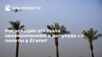 Росавиация отказала авиакомпаниям в допусках на выполнение рейсов на курорты Египта - ria.ru - Россия - Москва - республика Саха - Египет