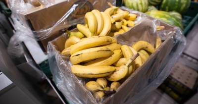 Калининградский рынок не отреагировал на общероссийский рост цен на бананы - klops.ru - Россия - Калининград