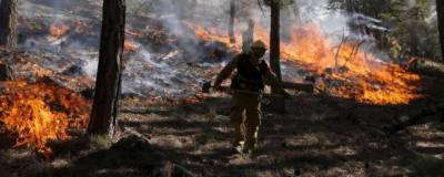 Дым от лесных пожаров повышает риск заразиться ковидом - runews24.ru - Сша