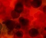 Коронавирус способен изменить структуру клеток крови - goodnews.ua