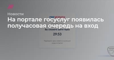 На портале госуслуг появилась получасовая очередь на вход - tvrain.ru - Москва