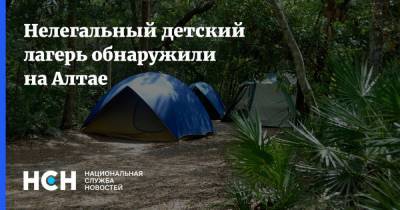 Нелегальный детский лагерь обнаружили на Алтае - nsn.fm - Россия - Москва - республика Алтай - район Онгудайский