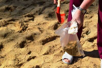 Роспотребнадзор проверяет качество воды и песка на пляжах Марий Эд - mk.ru - республика Марий Эл