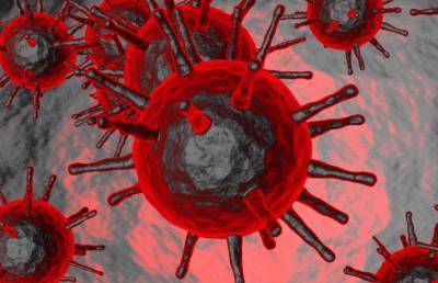 Коронавирус в Беларуси: статистика на 2 июля - ont.by - Белоруссия