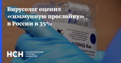 Георгий Викулов - Вирусолог оценил «иммунную прослойку» в России в 35% - nsn.fm - Россия