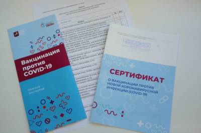Эксперт назвал главную опасность рынка поддельных сертификатов о вакцинации - infox.ru - Россия - Москва