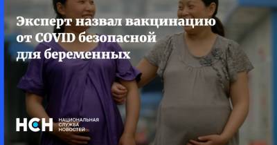 Арег Тотолян - Эксперт назвал вакцинацию от COVID безопасной для беременных - nsn.fm - Россия - Санкт-Петербург