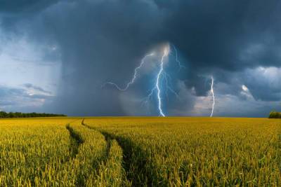 Погода в Запорожье 20 июля будет жаркой и дождливой - inform.zp.ua - Украина - Запорожье - Запорожская обл.