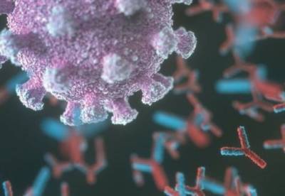 Ученые обнаружили, что у женщин и мужчин уровни антител к коронавирусу существенно отличаются - facenews.ua - Украина - Израиль - Тель-Авив