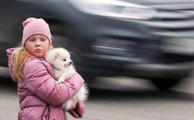 Александр Мясников - Мясников объяснил, почему семьям с детьми стоит обзавестись домашними питомцами - svpressa.ru