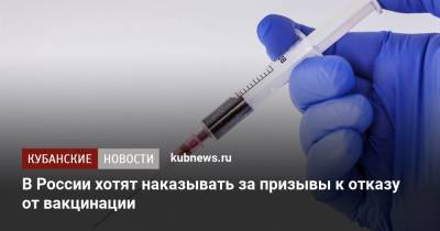 Владимир Петров - В России хотят наказывать за призывы к отказу от вакцинации - kubnews.ru - Россия