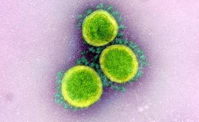Новое исследование: антитела к коронавирусу могут сохраняться на протяжении минимум девяти месяцев (Forbes, США) - inosmi.ru - Сша - Италия - Лондон