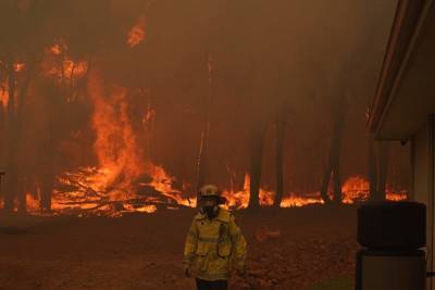 Ученые из США заявили, что пожары способствуют распространению COVID-19 и мира - cursorinfo.co.il - Сша - штат Невада - Jerusalem - Рино