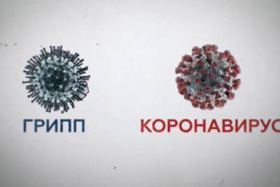 Андрей Исаев - Российские ученые сравнили грипп и коронавирус - versia.ru - Россия