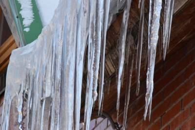 Ученые нашли в ледниках новые вирусы, существовавшие 15 тысяч лет назад - ufacitynews.ru - штат Огайо
