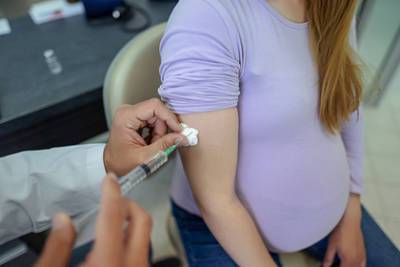 В Дании беременным разрешили вакцинироваться от коронавируса - lenta.ru - Дания