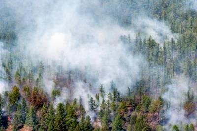 На всей территории Карелии в связи с лесными пожарами ввели режим ЧС до 31 июля включительно - argumenti.ru - республика Карелия