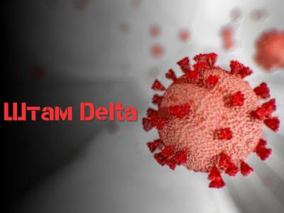 Штам Delta провокує масштабні спалахи коронавірусу у всьому світі, – ВООЗ - bykvu.com - Украина