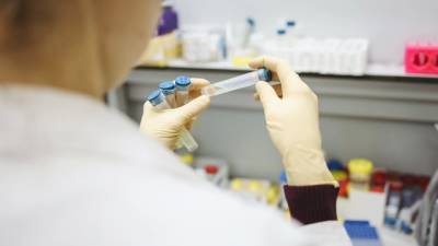 Китайские ученые оценили возможность лабораторного происхождения коронавируса - piter.tv - Китай