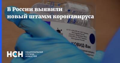 В России выявили новый штамм коронавируса - nsn.fm - Россия - Бразилия