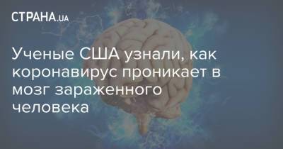 Джозеф Глисон - Ученые США узнали, как коронавирус проникает в мозг зараженного человека - strana.ua - Украина - Сша