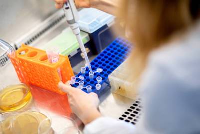 Ученые в Финляндии назвали срок сохранения антител к коронавирусу - lenta.ru - Финляндия