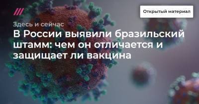 В России выявили бразильский штамм: чем он отличается и защищает ли вакцина - tvrain.ru - Россия - Казань