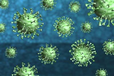 В России выявили «бразильский» штамм коронавируса «гамма» - abnews.ru - Россия
