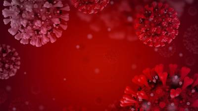 Российский ученый призвал не паниковать из-за появления бразильского штамма - inforeactor.ru