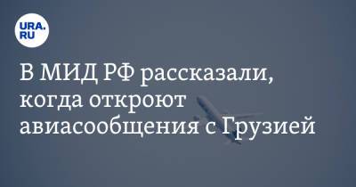 Андрей Руденко - В МИД РФ рассказали, когда откроют авиасообщения с Грузией - ura.news - Россия - Грузия - с. Авиасообщение