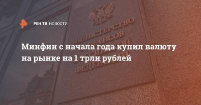 Минфин с начала года купил валюту на рынке на 1 трлн рублей - ren.tv - Россия