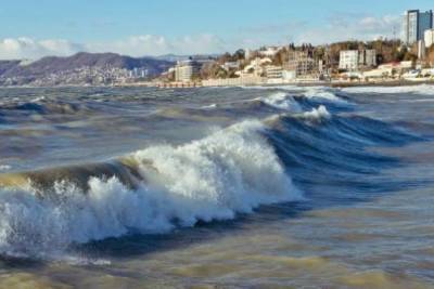 Где будут отдыхать петербуржцы летом - versia.ru - Санкт-Петербург