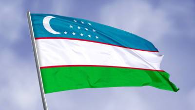 Зайниддин Низамходжаев - ЦИК Узбекистана объявил о начале кампании по выборам президента - mir24.tv - Узбекистан