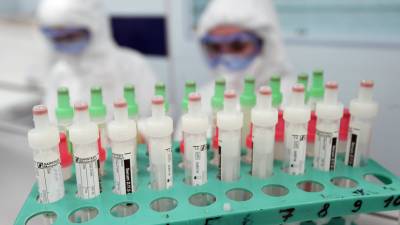 За сутки в России выявили 23 811 случаев коронавируса - russian.rt.com - Россия