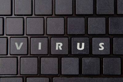 Новая разновидность компьютерного вируса Xloader представляет серьезную угрозу для пользователей Mac - actualnews.org