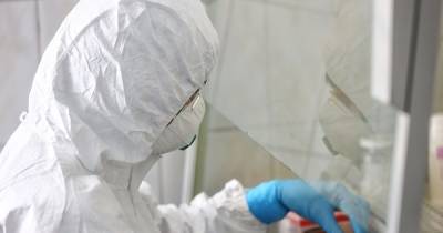 В Калининградской области коронавирусом заболели ещё 229 человек - klops.ru - Россия - Калининградская обл.